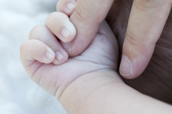 photodune-2221154-new-born-xs.jpg