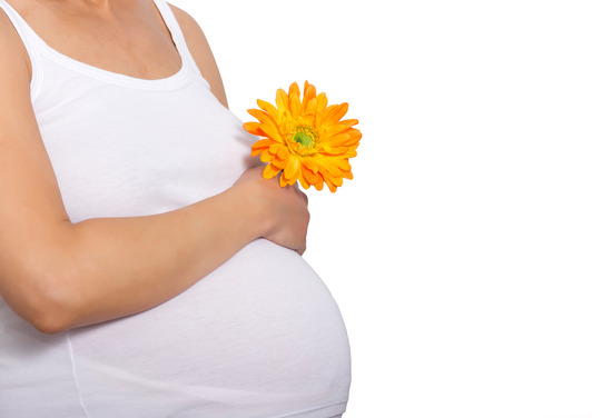 photodune-4680486-pregnant-xs.jpg