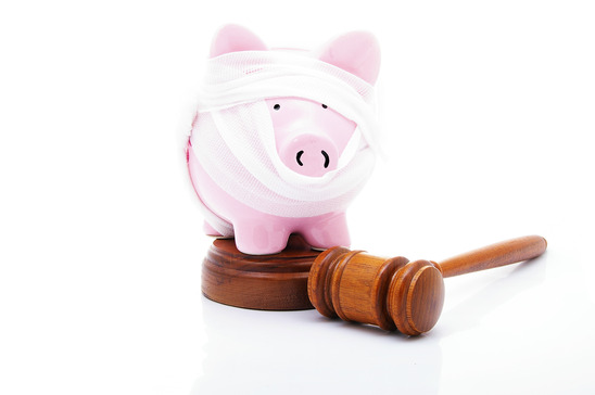 photodune-9067258-gavel-piggy-xs.jpg